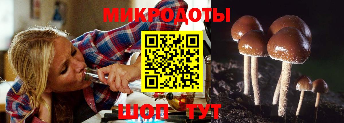 Галлюциногенные грибы Cubensis  наркота  Златоуст  Вход с VPN 